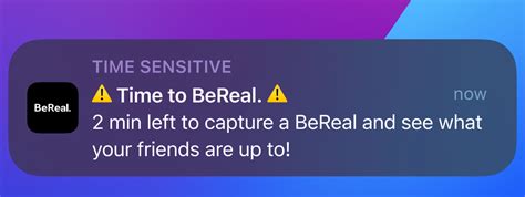 I didn’t receive the BeReal Notification – BeReal Help Center